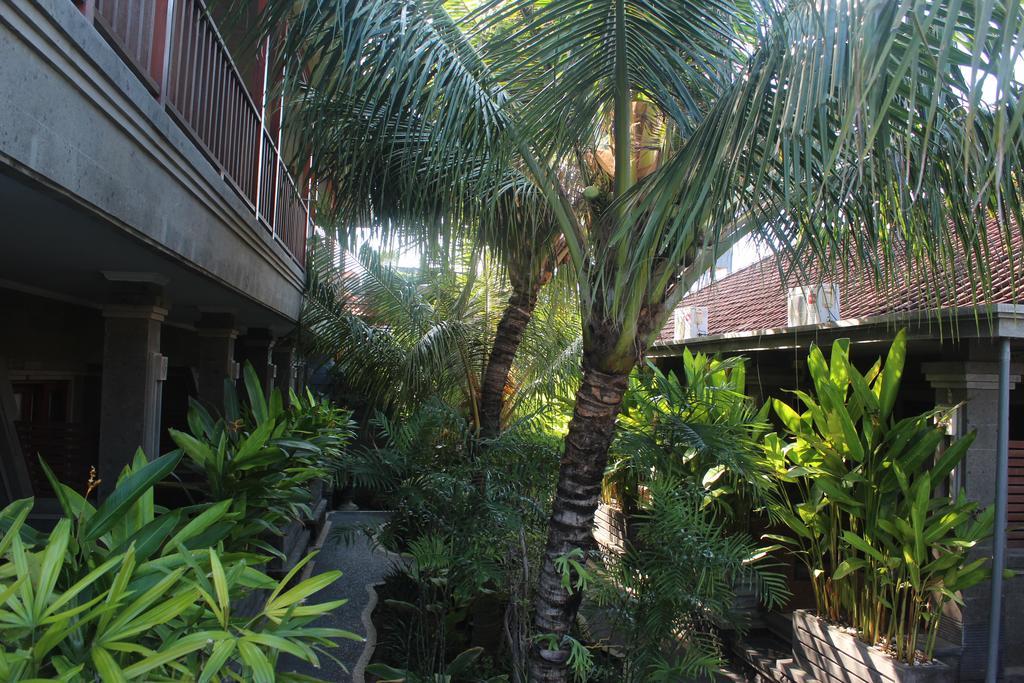 Apartmán Letos Kubu 1 Kuta Lombok Exteriér fotografie